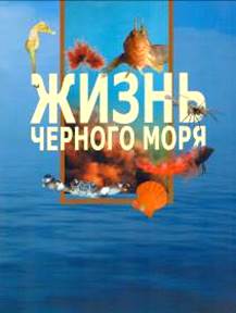 Жизнь Черного моря