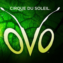 OVO Cirque du Soleil
