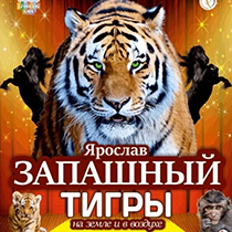 Сочинский цирк. Тигры на воде и в воздухе